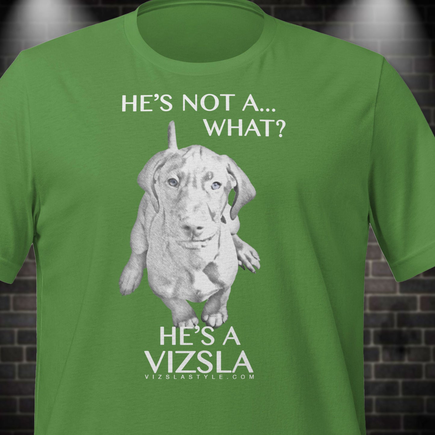 He's Not A What... He's A Vizsla - All Around Sports T-shirt (Lt Text)